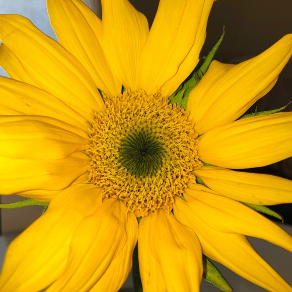 Meet your Posher, Fashpass - Picture 1 of 1